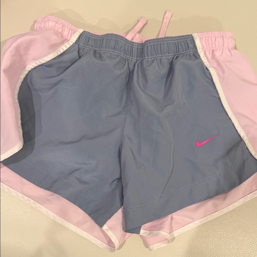 Nike Two-Tone Pink and Blue Shorts